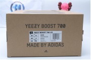 Adidas Yeezy Boost 700 V2 Geode 6860