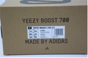 Adidas Yeezy 700 V2 Static 2829