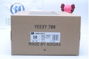 Adidas Yeezy 700 V3 Srphym
