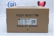 Adidas Yeezy Boost 700 Analog 7596