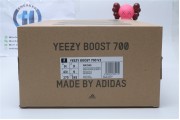 Adidas Yeezy Boost 700 V2 Inertia Static 2549