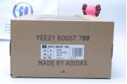 Adidas Yeezy Boost 700 Inertia 7597