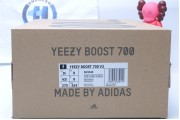 Adidas Yeezy Boost 700 V2 Inertia Static 2549