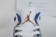 Air Jordan 3 “Wizards”