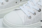 Dior White Low Canvas (White Colorway)