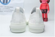 Dior White Low Canvas (White Colorway)