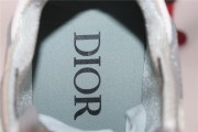 Dior B27 Low Gray
