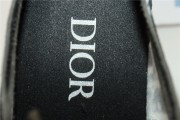 Dior B23 Low Canvas Oblique Black