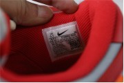 Nike Dunk SB Low Red