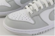 Nike SB Dunk Low White And Grey