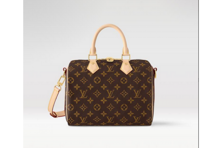 LV Bag