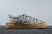Stone Island x Dior B33 Skateboard Shoes "Grey"