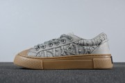 Stone Island x Dior B33 Skateboard Shoes "Grey"
