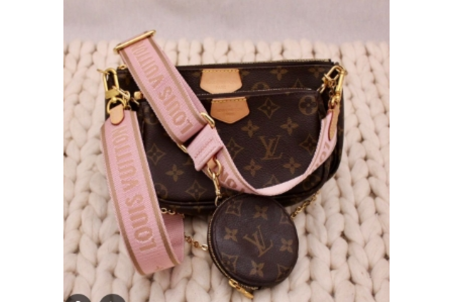 Louis Vuitton-LV Multi Pochette Accessoires Bag