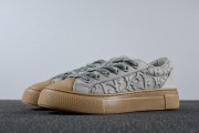 Stone Island x Dior B33 Skateboard Shoes "Grey"
