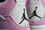 Air Jordan 4 Orchid AJ4 