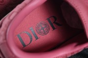Stone Island x Dior B33 Skateboard Shoes "Red"