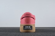 Stone Island x Dior B33 Skateboard Shoes "Red"
