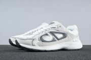 Dior B30 'White Grey'