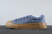 Stone Island x Dior B33 Skateboard Shoes "Blue"