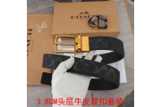 Belt