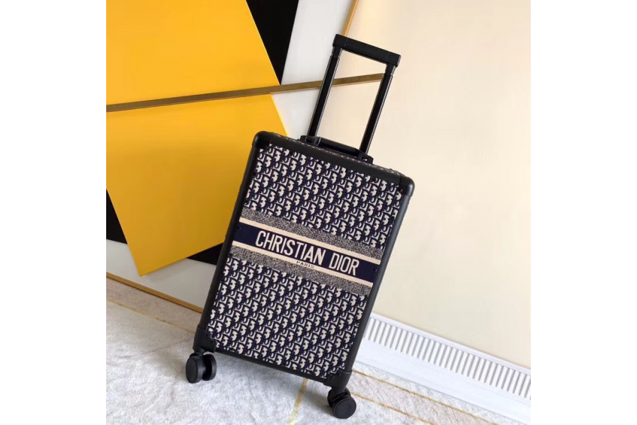 Christian Dior Luggage