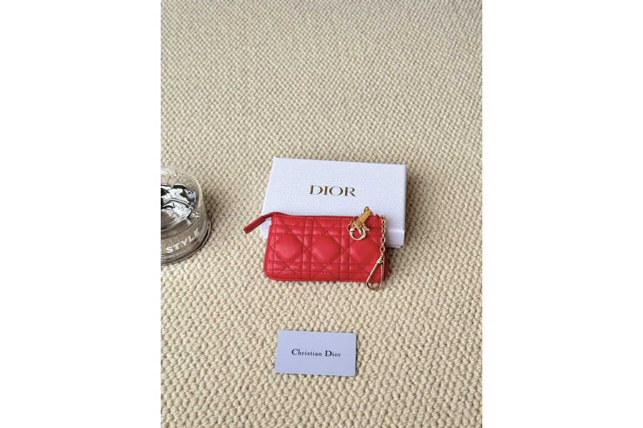 Dior Bag