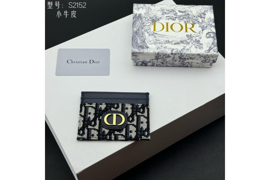 Dior Bag