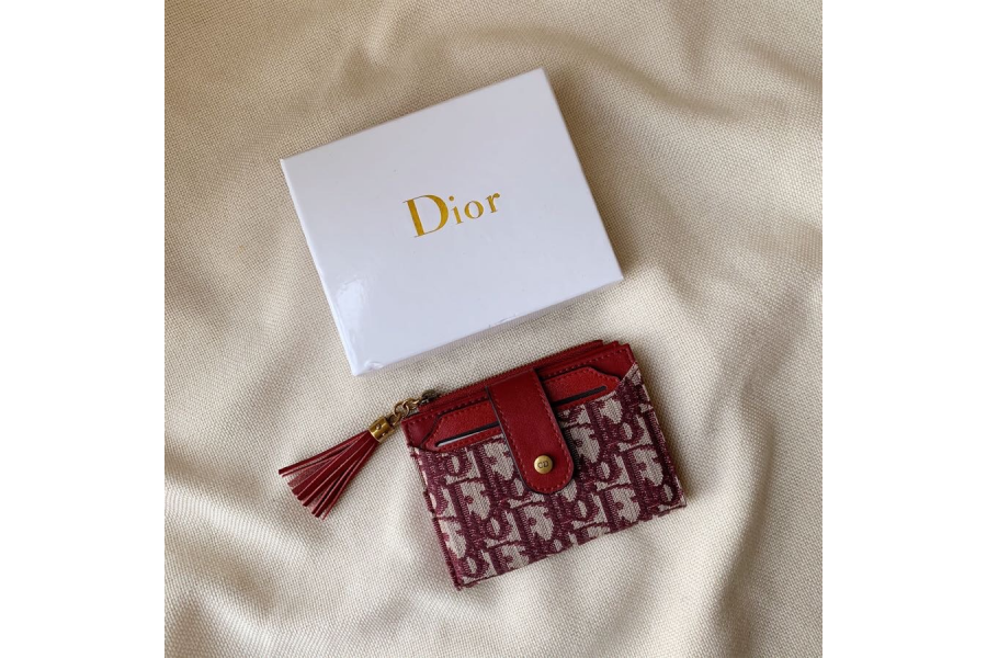Dior Bag