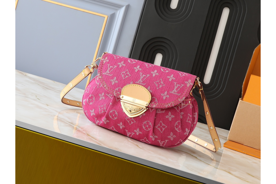 LV Bag