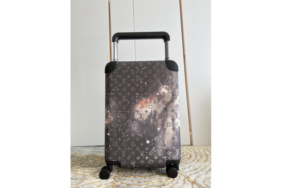 LV Luggage