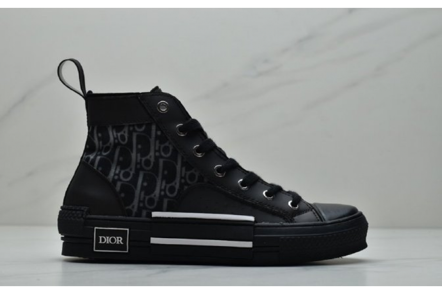 Dior Homme Kaws B23 High Top Sneaker