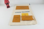 Louis Vuitton 2022-23FW Louis Vuitton LV SKATE SNEAKER