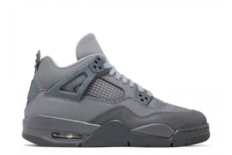 Air Jordan 4 “Paris Olympics”