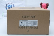 Adidas Yeezy 700 V3 Azareth 4850