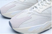 Adidas Yeezy Boost 700 Analog 7596