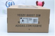 Adidas Yeezy Boost 350 V2 Lundmark Reflective 3254