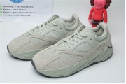 Adidas Yeezy Boost 700 Salt 7487