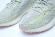 Adidas Yeezy Boost 350 V2 Antlia 3250