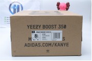 Adidas Yeezy Boost 350 V2 Trfrm EG7492