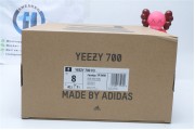 Adidas Yeezy 700 V3 Azael 4980