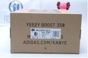 Adidas Yeezy Boost 350 V2 Hyperspace EG7491