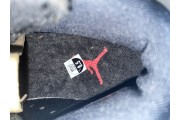 Air Jordan 6