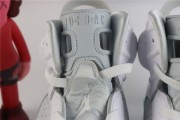Air Jordan 6