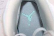 Air Jordan 6