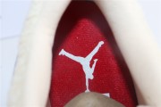 Jordan 4 Retro Where the Wild Things Are