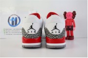 Jordan 3 Retro Hall of Fame