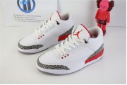 Jordan 3 Retro Hall of Fame
