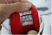 Jordan 3 Retro Hall of Fame