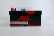 Air Jordan 1 High OG "Stealth"